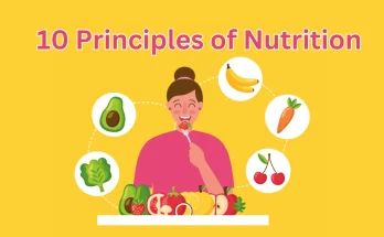 What Are the 10 Principles of Nutrition?