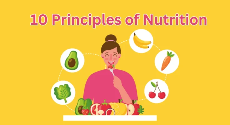 What Are the 10 Principles of Nutrition?